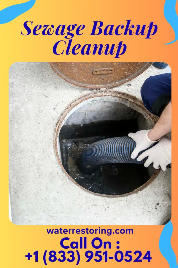 Sewage Backup Cleanup in Kewaskum, WI