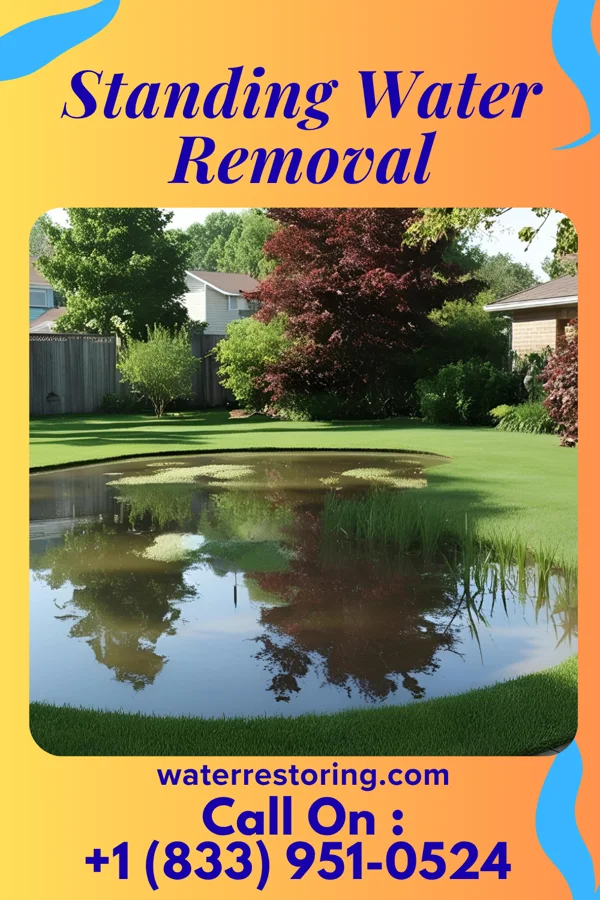 Standing Water Removal in Kewaskum, WI